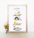Illustrated print with text 'Cat Pilates Masterclass' and funny cats in different poses, like 'cat cow'.