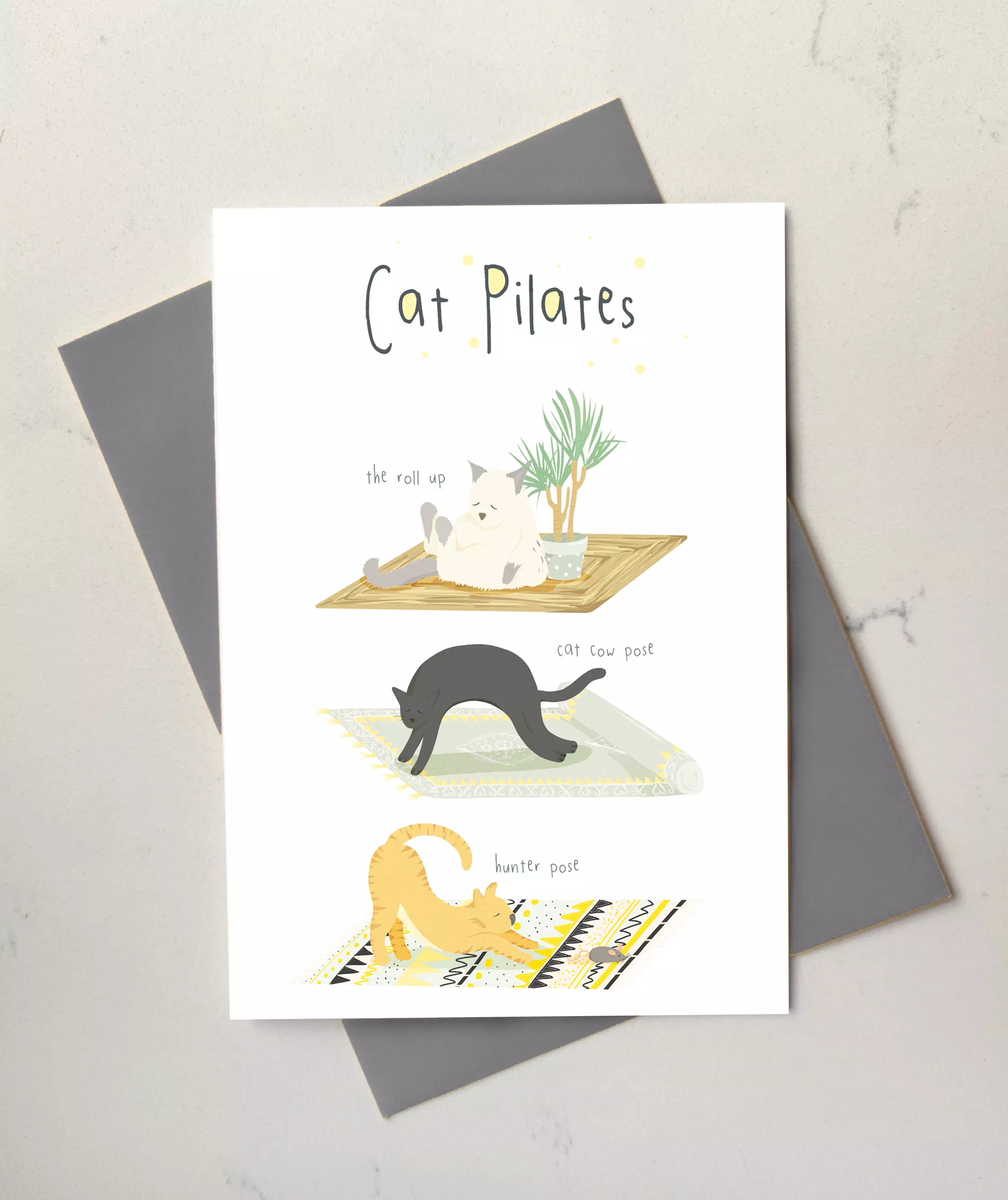 funny cat pilates card in poses like cat cow and roll up.
