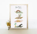 print with text 'Dog Pilates Masterclass' and dog in different poses, like cat cow pose
